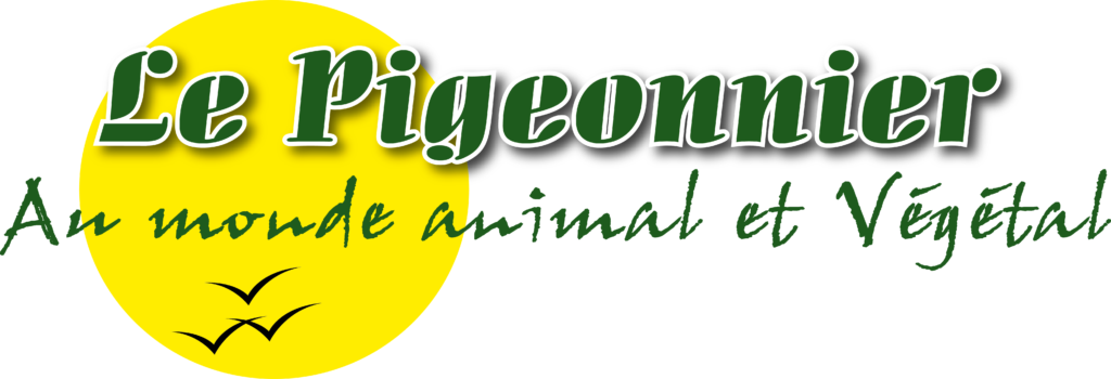 Logo Le Pigeonnier